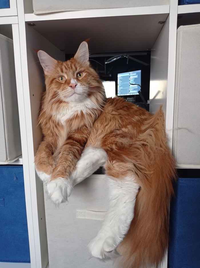 Самое удобное место в доме)