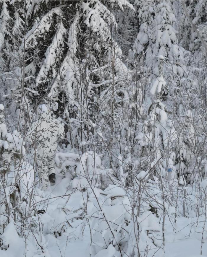 Finnish soldier in winter camouflage - The photo, Army, Finland, Camouflage