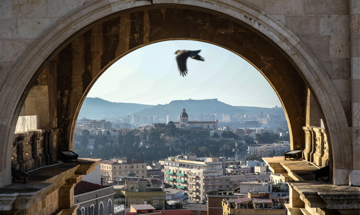 ������ ���������� ����� �������� �� ������ �����