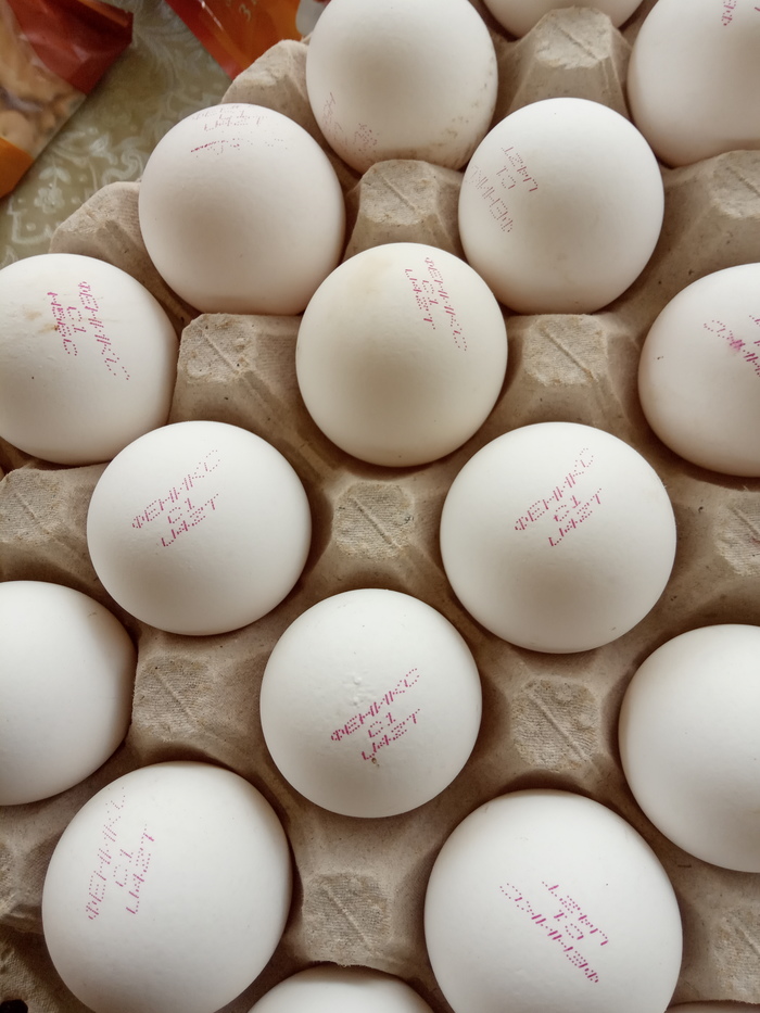 ���� �������