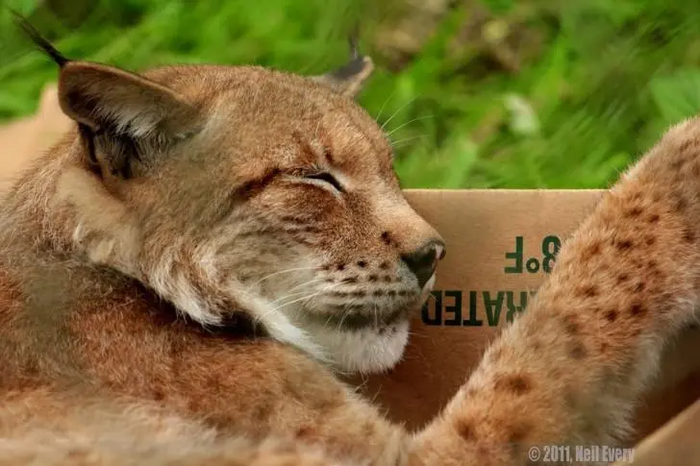 ��� ������ ����� �������. �������� �����...)