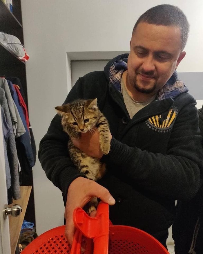 Котенка Кузю, о котором мы писали, уже усыновили