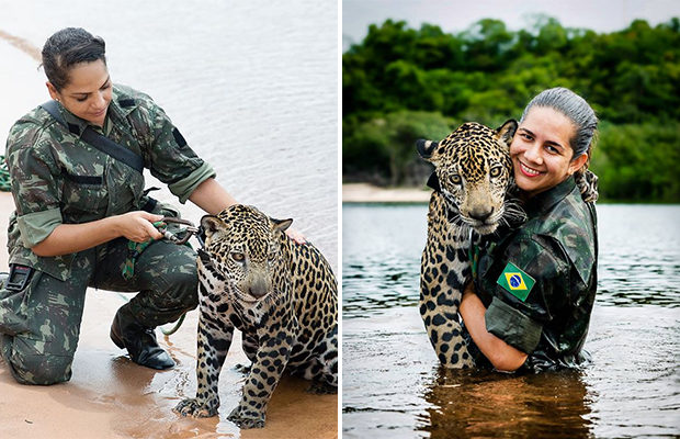 The Brazilian Army is the best - Jaguar, Big cats, Cat family, Predator, Wild animals, Brazil, Army, Animal Rescue, The soldiers, Rescue of a drowning man, Good people, Steel eggs, Animals, Amazon, Flood, Milota, No casualties, Longpost