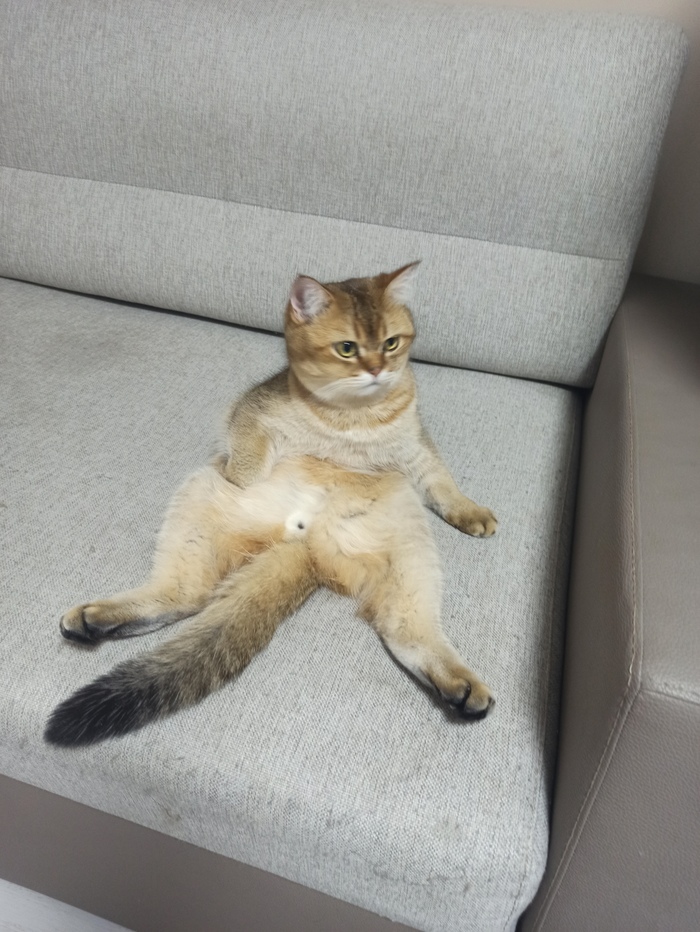  ,       ,  