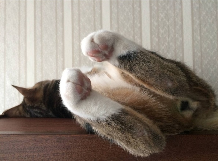 Планы на выходные