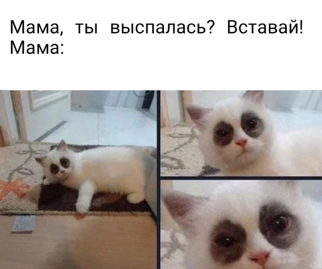   ,   ,  ,   