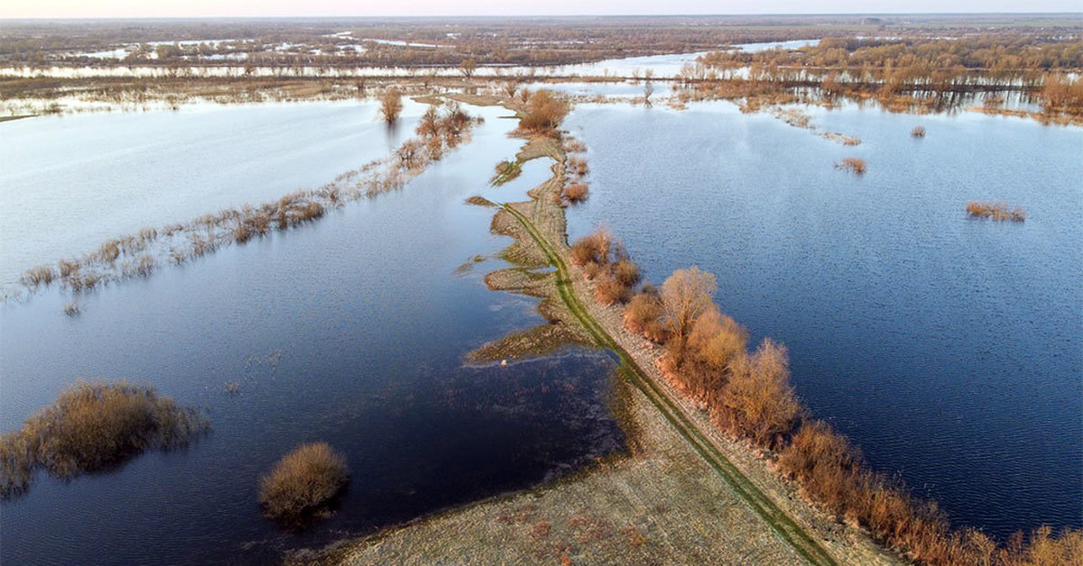 Припять река болота