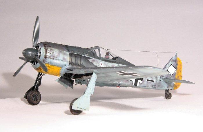 Focke-Wulf Fw 190 Wrger   ,  , , ,  , , 