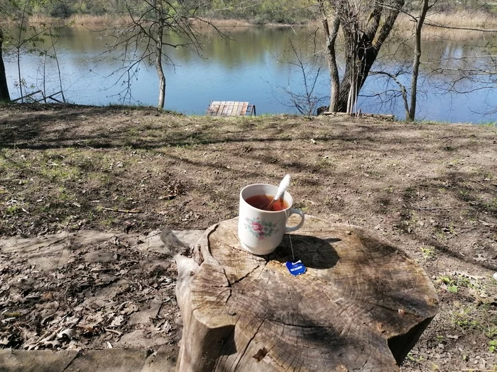 Spring, cottage - Dacha, Nature, River, Work, Relaxation, Longpost