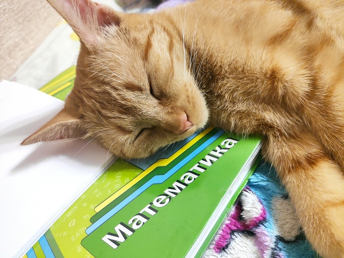 �������� ��� ������ ������