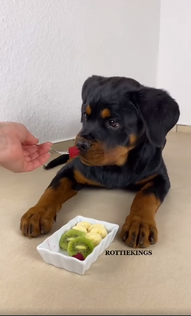 ������ - ������ �� ������:)