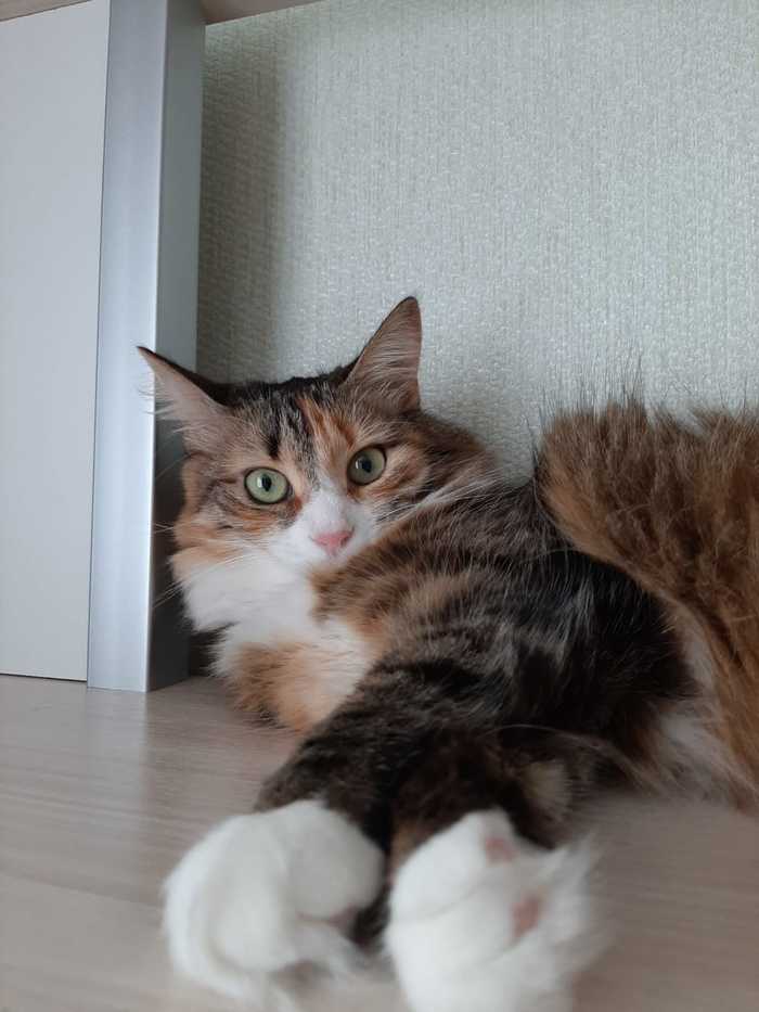 �� ������� ����� ���� �������?...