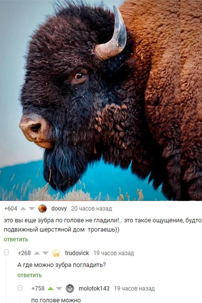 �� ������ �����