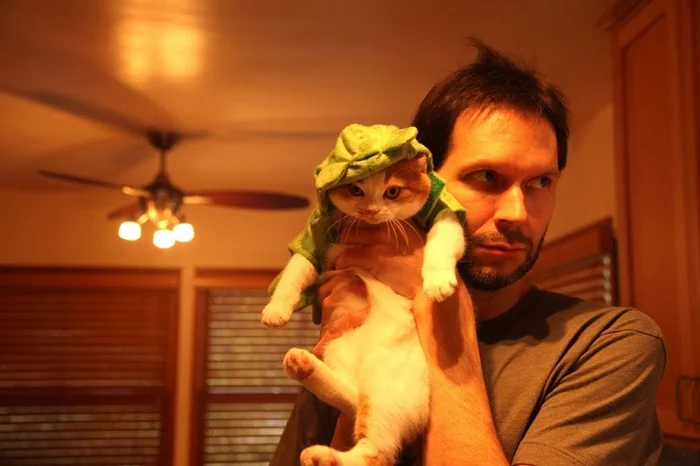 Paul Gilbert's cat - Paul Gilbert, Guitar, cat, Video, Longpost