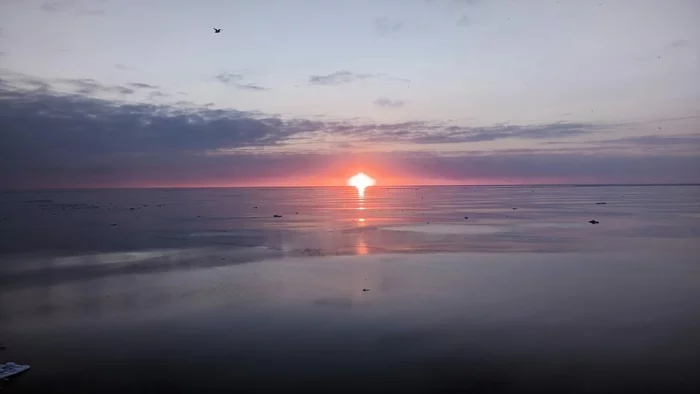 calm - My, Sea, Calm, Sunset, Vessel, Sea of ??Okhotsk