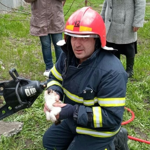 Cuteness for your feed. in Balakleya (Kharkiv region), rescuers pulled a kitten out from under a concrete slab - Kharkov, The rescue, Milota, cat, Kittens, Animal Rescue, Balakliya