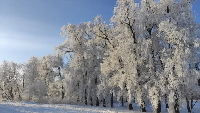 It's been a frosty winter! - My, The photo, Winter, Frost, Saint Petersburg