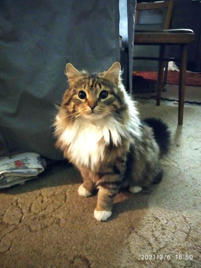 ������. ��������� ���. ����� ���������