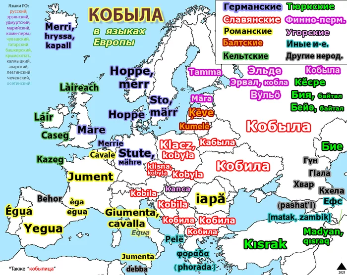 Языки Европы. Шведский и немецкий языки сходство. Сколько языков в Европе. The most beautiful languages of Europe.