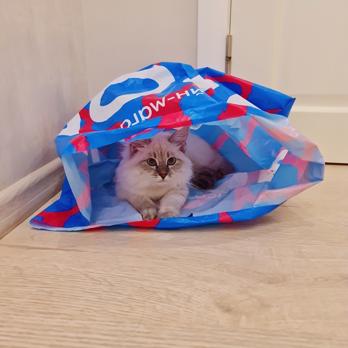 Я сказала мой пакет