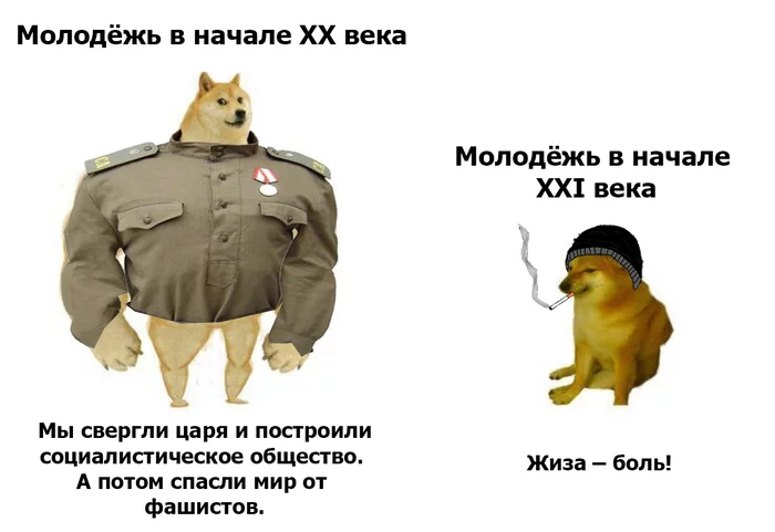 Стыдно! - Моё, Мемы, Юмор, Молодежь, Doge