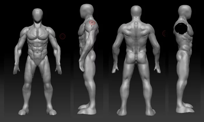 Progress in anatomy - My, Zbrush, 3D modeling, 3D, Anatomy, Model business, Progress, Longpost