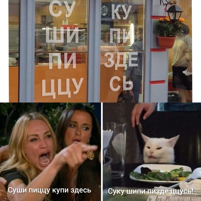 Shipi tsutsus - Two women yell at the cat, Memes, Humor, cat, Rock ebol