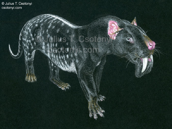     -   Thylacosmilus atrox