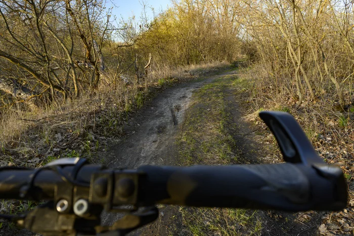 Spring cycling - My, A bike, Pokatushki, Weekend, PVD, Forest, Spring, Longpost