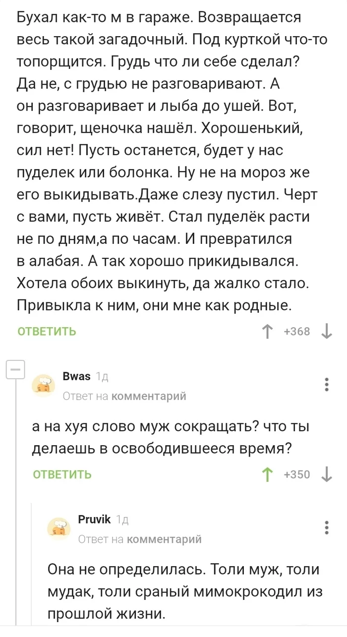 Экономия времени - Скриншот, Подкол, Остро, Муж, Жена, Комментарии на Пикабу, Мат