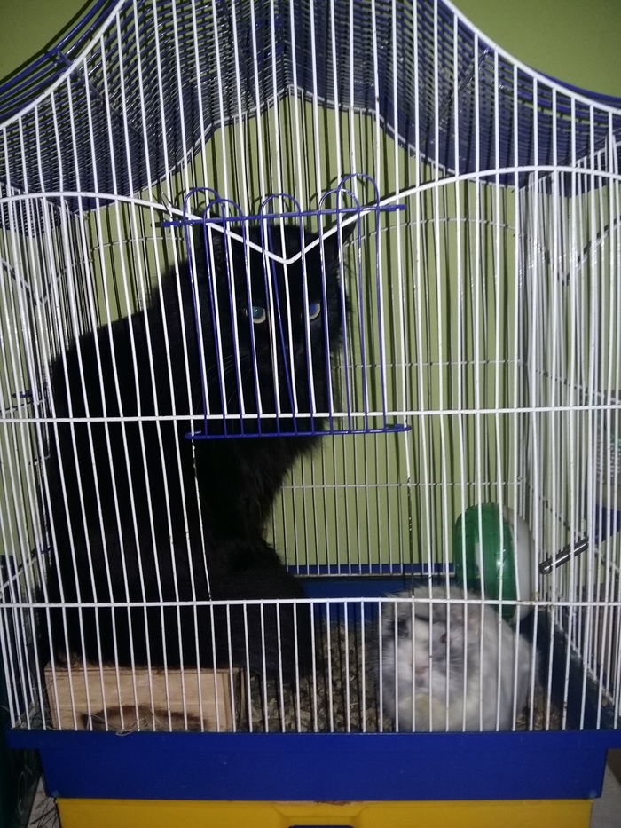 Маскировка наше все