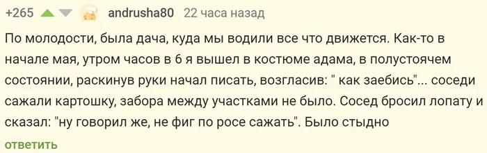 Стыдно - Стыд, Дача, Голые, Утро, Мат, Соседи, Скриншот, Комментарии на Пикабу, Комментарии, Внезапно, Неожиданно, Юмор, Истории из жизни