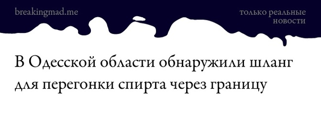 Ассорти 173 - Дичь, Трэш, Исследователи форумов, Длиннопост, Семья, Отношения, Юмор, Twitter