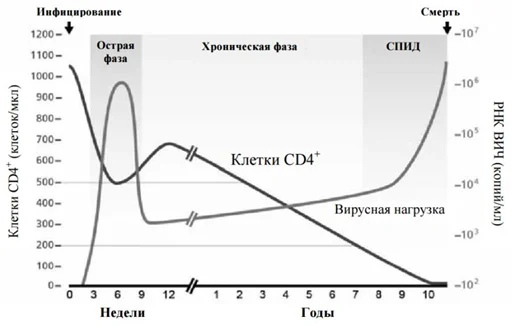 History of Medicine: HIV - My, Hiv, AIDS, The medicine, Health, Longpost