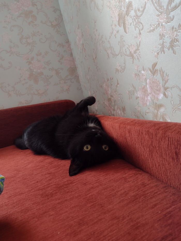 Утро добрым не бывает