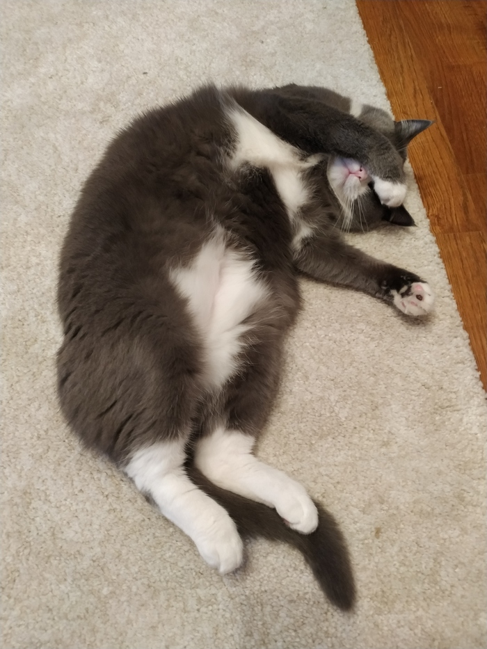 ����� ����