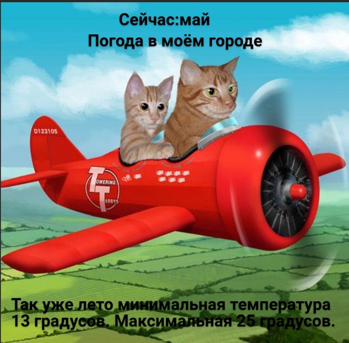 Погода в моём городе | Пикабу