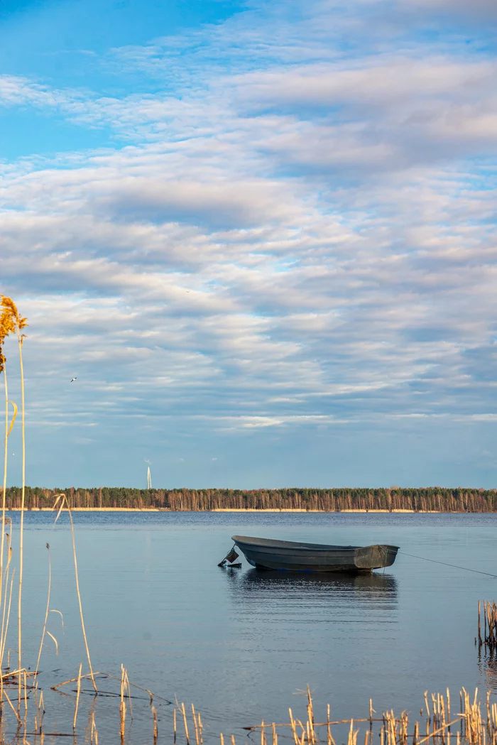 Your boat is ready, Captain! - My, The photo, Lake, A boat, Your boat is ready, Lakhta, Sestroretsk, Longpost