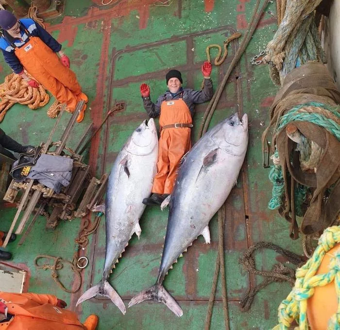 Happy World Tuna Day! - Tuna, Fishing, Kurile Islands, The photo, Sea, A fish, Sakhalin Region