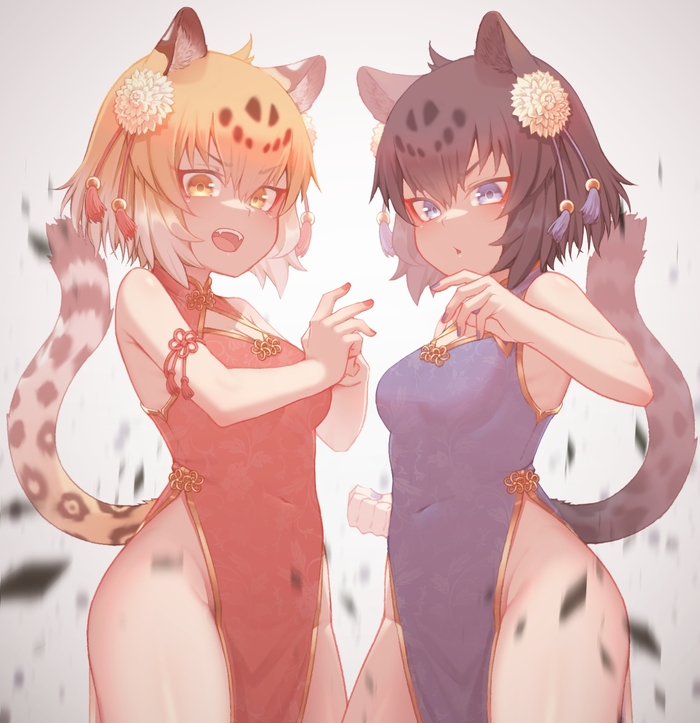 Hot Cats