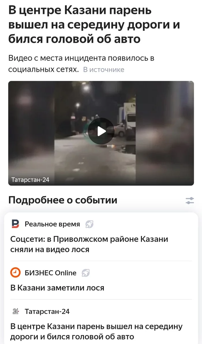 В центре Казани лось бился головой об авто - Новости, Яндекс Новости, Казань, Лось, Юмор, Скриншот, Пьяные, Татарстан