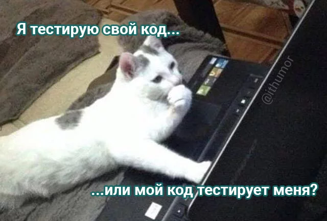 Eternal question - IT humor, IT, Unit Testing, The code, Programming, cat, Picture with text