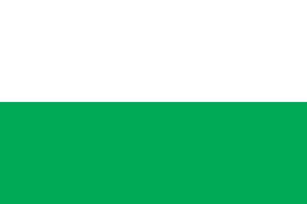 Бело-зеленый | Пикабу