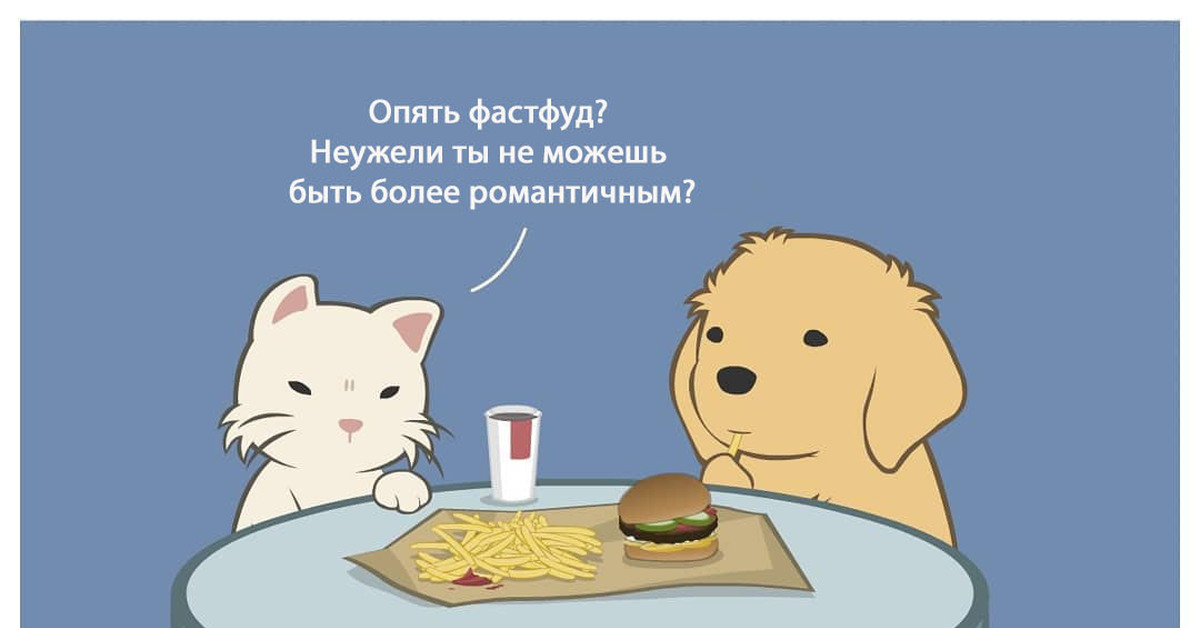 Ну разве не романтично? | Пикабу