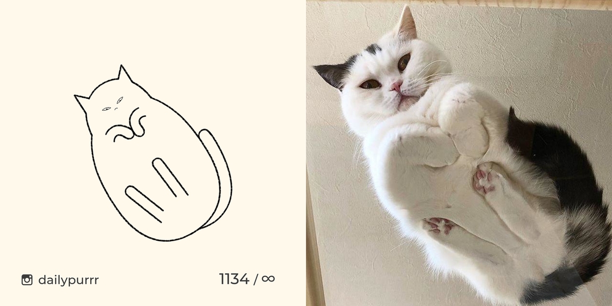 Мемных котиков. Нарисовать мемного кота. Мемные коты нарисовать. Картинки котики мемных. Рисунок с мемными котиками.