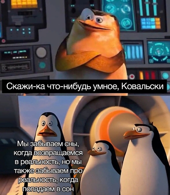 Kowalski, burn - Dream, Kowalski, Humor, Amazing, Ponder, Pinguins from Madagascar, Picture with text