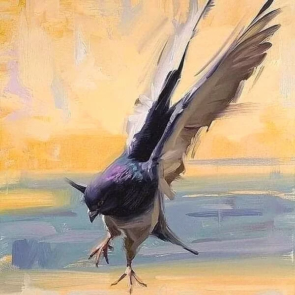 Soft landing! - Art, Birds, Pigeon, Animalistics, Drawing, Canvas, Oil painting