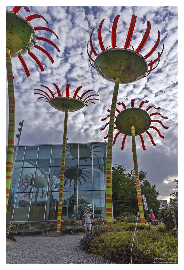 Seattle: Chihuly wouldn't be sneezed at - My, Seattle, Washington, USA, Museum, Glass, The photo, Longpost