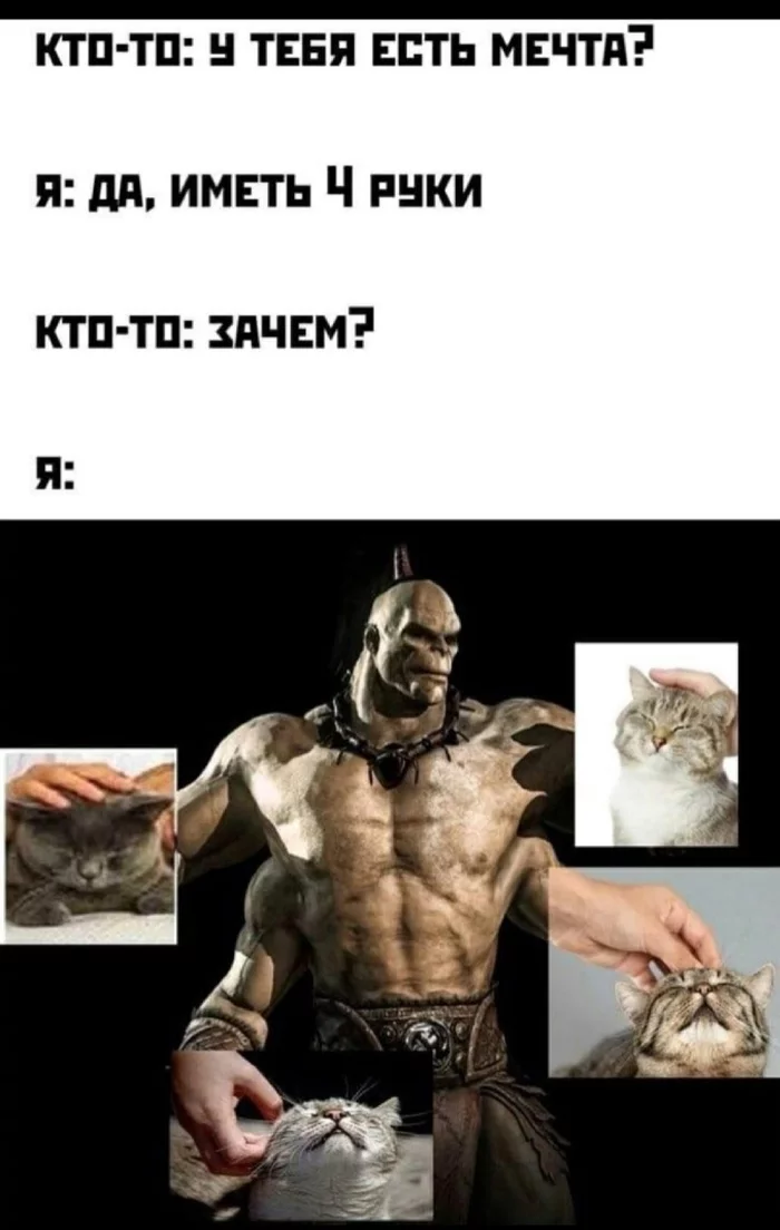 Do you have a dream? - Memes, cat, Mortal kombat, Town, Picture with text, Goro