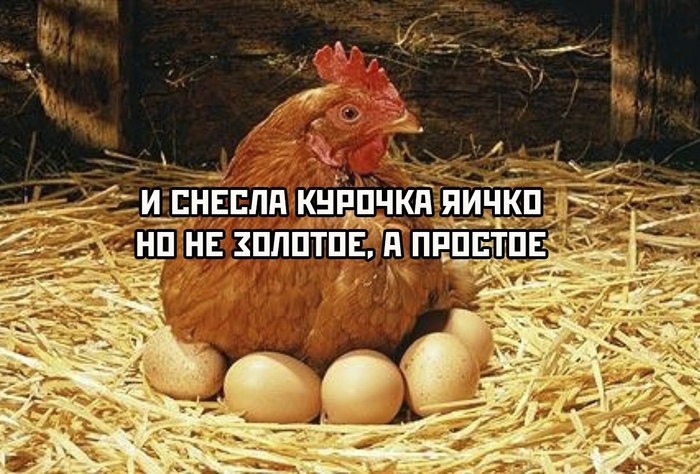 кура или курица как правильно говорить